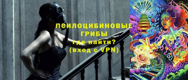 метадон Белокуриха
