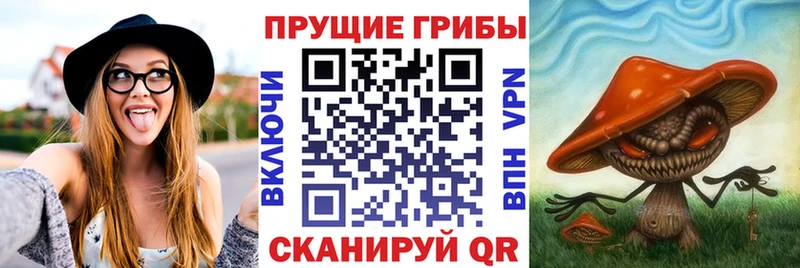 площадка Telegram  Верхний Тагил  Псилоцибиновые грибы мицелий 